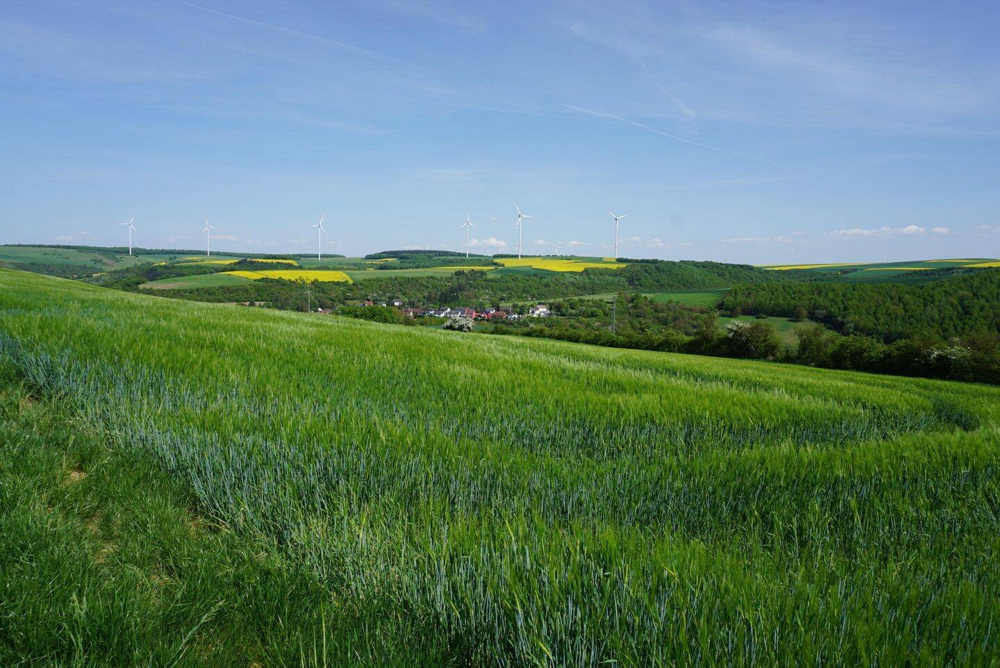 Immobilie