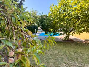 Jetzt zugreifen und Sommer genießen|Bungalow mit Grundstücks-Paradies in Rüdersdorf! – 15562 Rüdersdorf bei Berlin – Vorschaubild 7