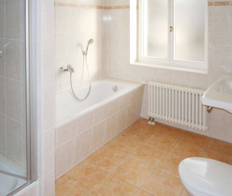 Altbauwohnung (vermietet) mit BALKON in Nähe des Waldparkes – Dresden – Vorschaubild 5