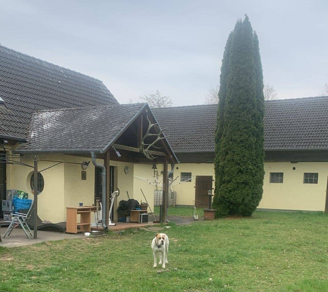 Einfamilienhaus in attraktiver Lage zu vermieten! – Altlandsberg – Vorschaubild 3