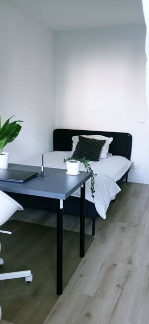Room Available in Shared 6-Person Apartment – Frankfurt-Höchst – 65929 Frankfurt am Main – Vorschaubild 7