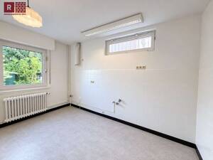 Mehr Platz. Eigenes Haus. Eigener Garten. Und trotzdem Frankfurt! – 65933 Frankfurt am Main – Vorschaubild 6