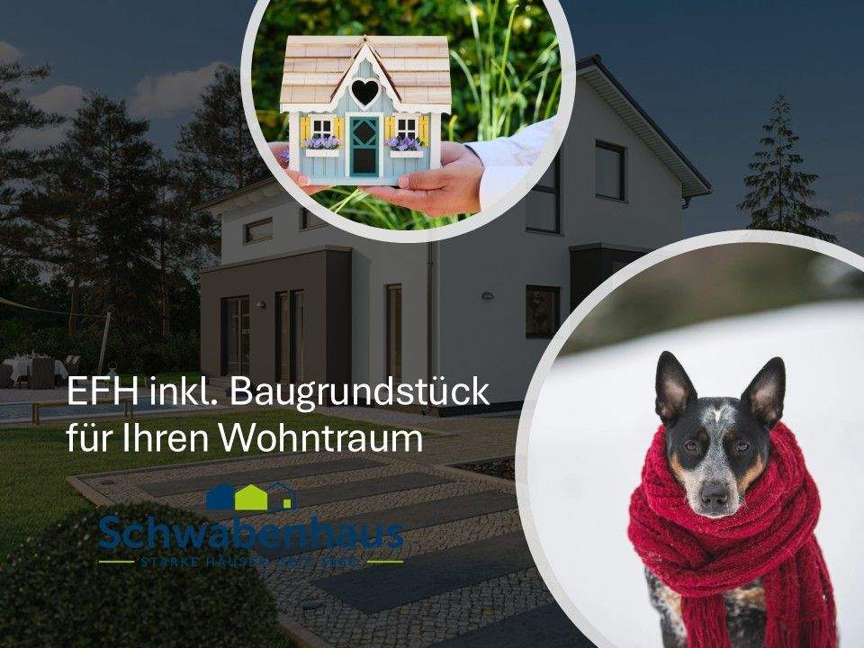 Heimat für Herz und Seele – Potsdam – Vorschaubild 2
