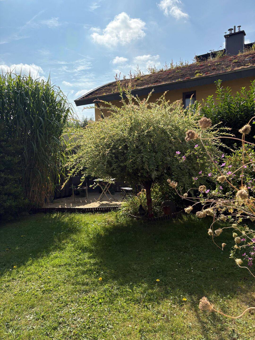 Gepflegtes Reihenendhaus in 2. Baureihe im Zentrum von Appen – Appen – Vorschaubild 5