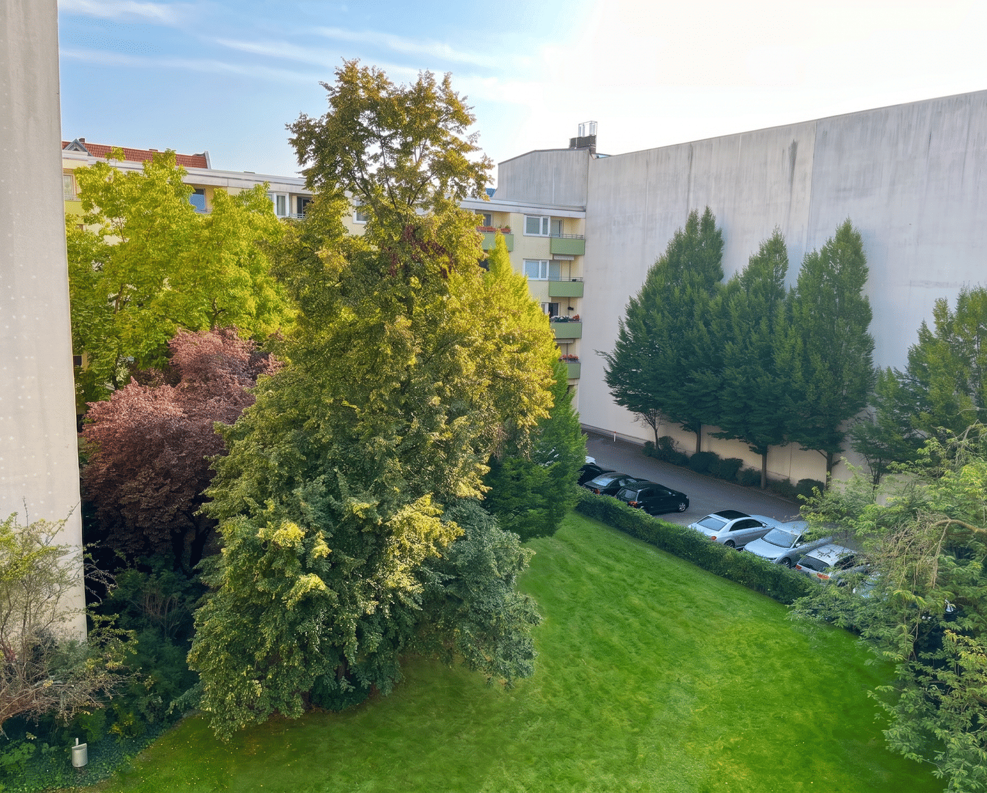 Provisionsfrei & bezugsfertig: lichtdurchflutete ruhige 2,5 Zimmer in Park- & Seenähe im Afrikanischen Viertel – Berlin – Vorschaubild 8