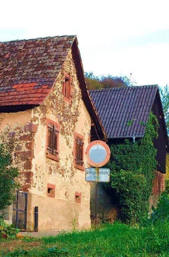 Kl. Weingut Vogtsburg-Bickensohl-Breisach + Wohnhs + Scheune + 2Rebterrassen + Löskeller + Sanierungskosten ca. 290T€ + hohes Steuersparen Denkmal – Vogtsburg im Kaiserstuhl – Vorschaubild 6