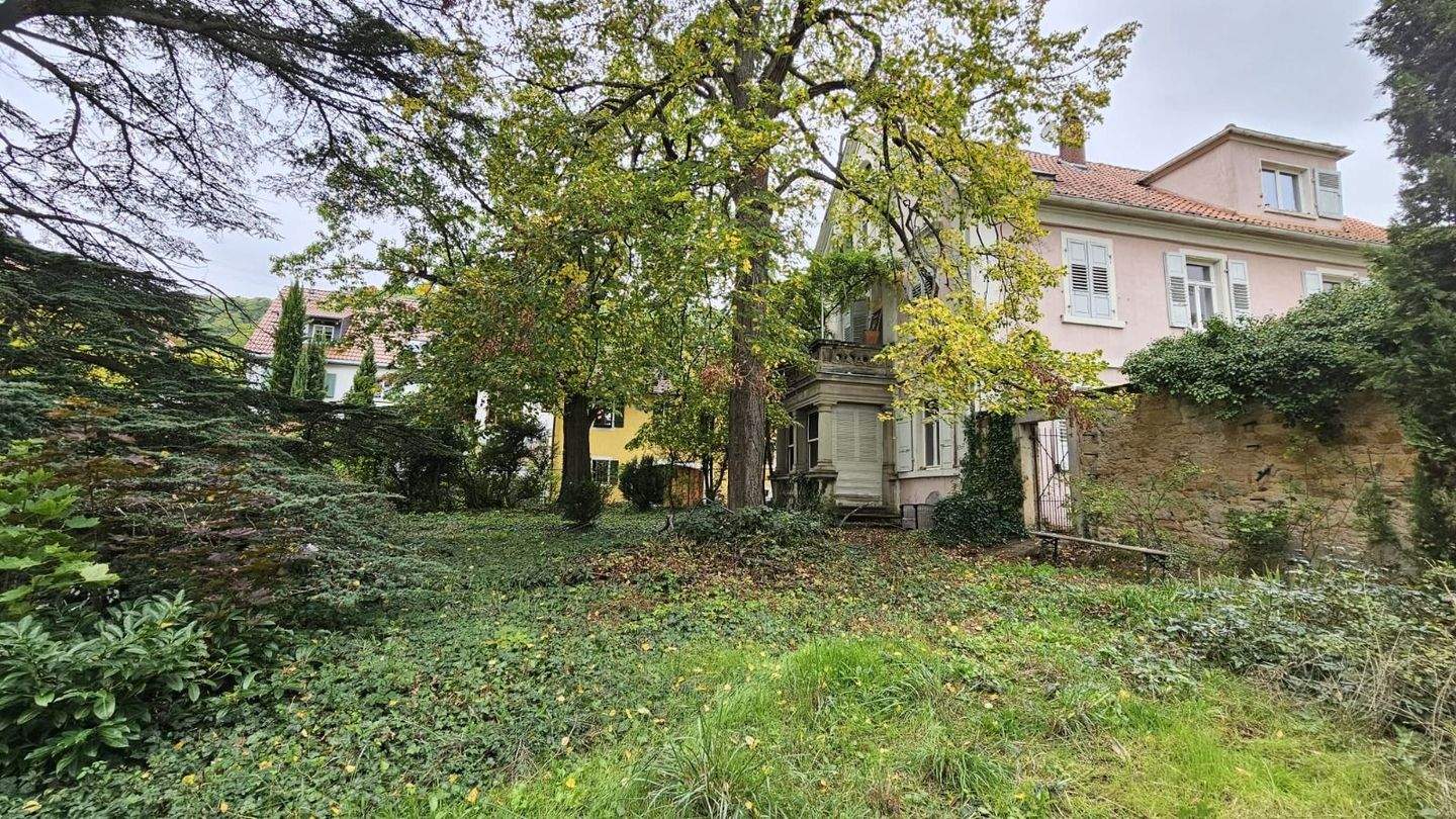 Denkmalgeschütztes Herrenhaus aus dem Jahr 1839 ! Ausbaufähige Wohnfläche bis zu 600 m² ! – Neustadt an der Weinstraße – Vorschaubild 9