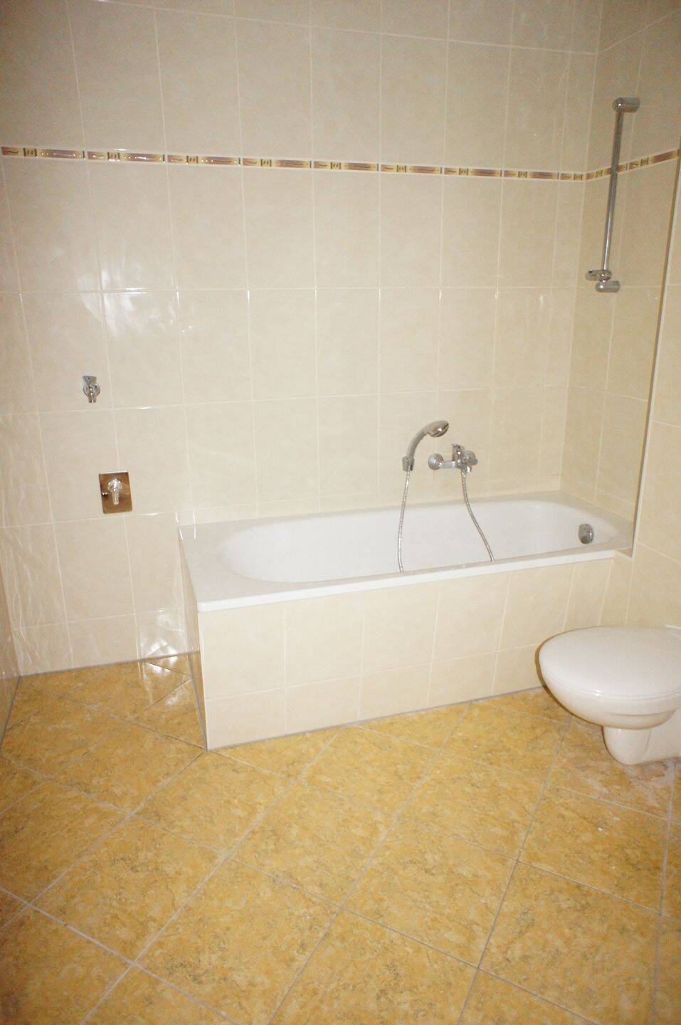 Mieter ab 1.8. gesucht - Küche am Wohnzimmer -sonniger Balkon u.v.m. – Chemnitz – Vorschaubild 5