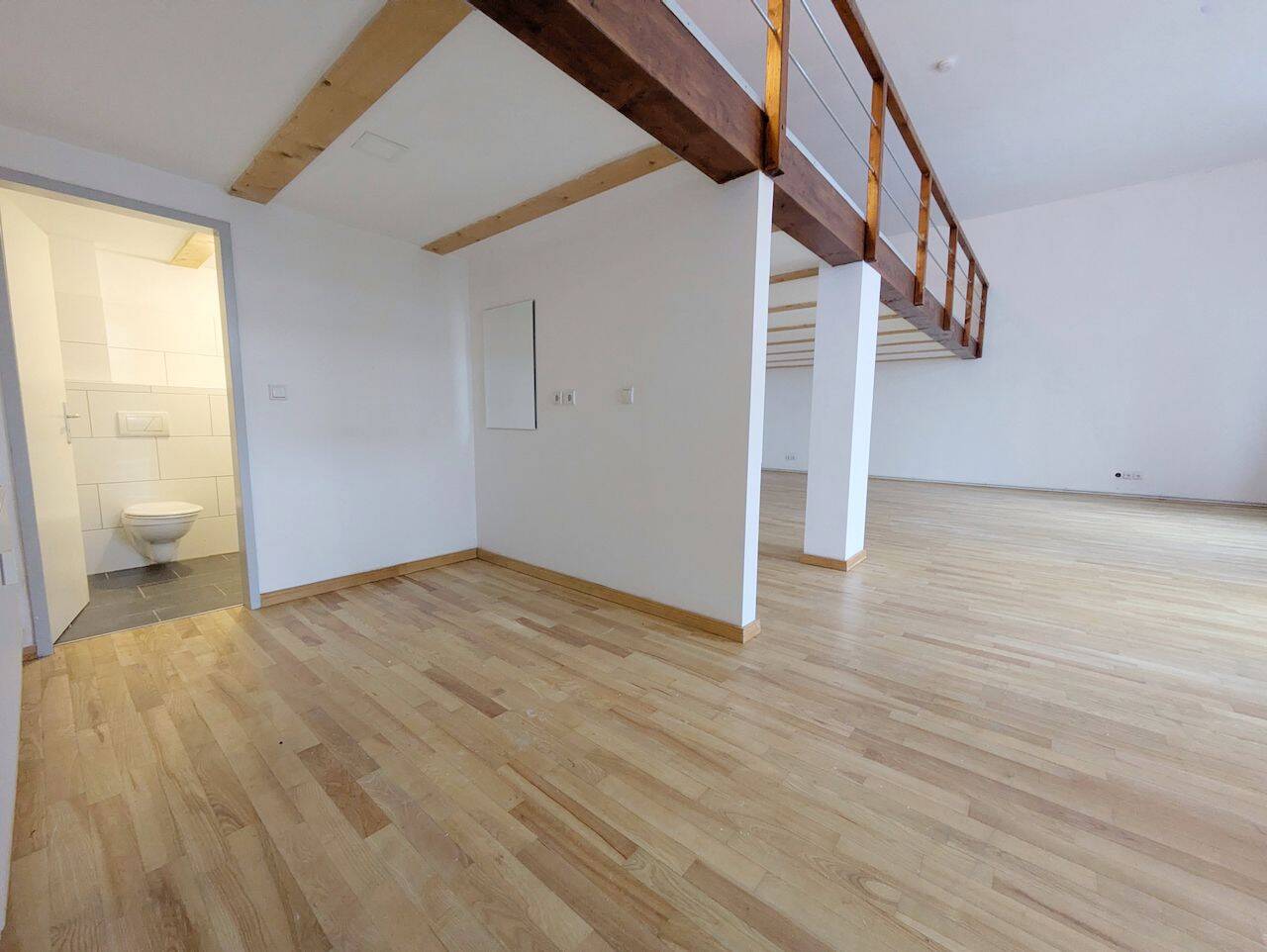 ++ außergewöhnliches Loft mit Kamin & Terrasse - Ruheoase im Herzen von Chemnitz ++ – Chemnitz – Vorschaubild 8