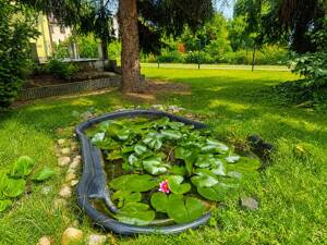 freistehendes Einfamilienhaus | tolle Siedlungslage | idyllischer Garten | Tageslichtbad | Garage – 4207 Leipzig – Vorschaubild 4