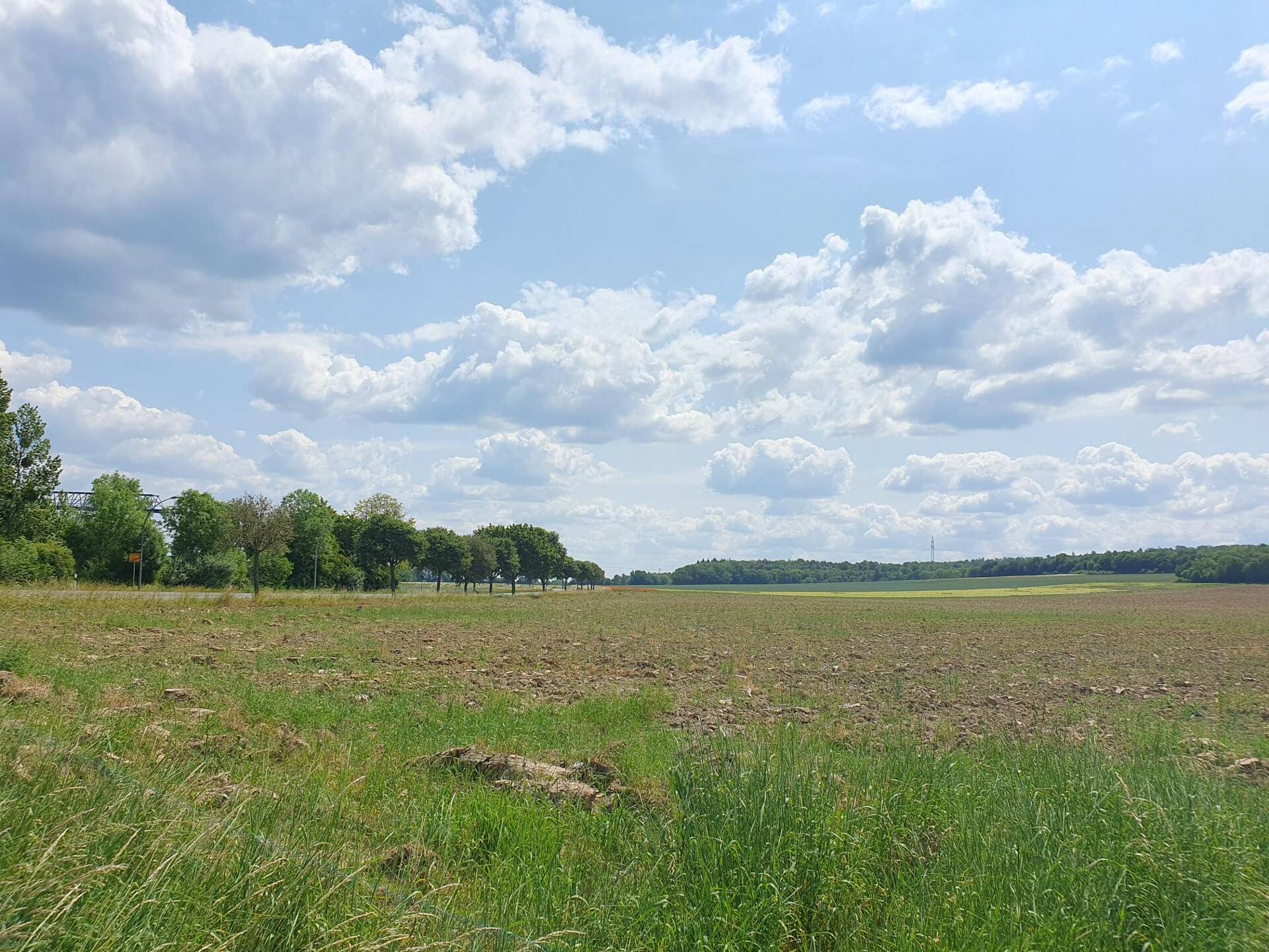 Einfamilienhaus in 38229 Salzgitter mit 144 m² kaufen