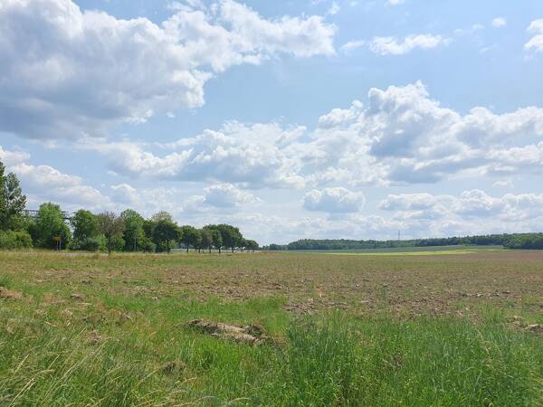 Einfamilienhaus in 38229 Salzgitter mit 144 m² kaufen