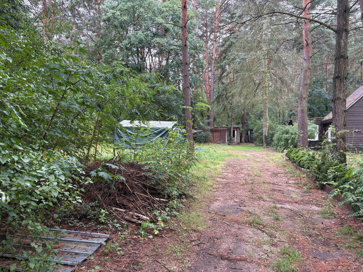 Sanierungsbedürftighes Einfamilienhaus in Fichtenwalde – Beelitz – Vorschaubild 2