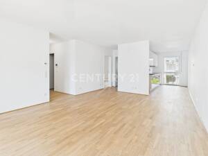 Hochwertige 3-Zimmer Wohnung mit EBK zum Erstbezug – 64283 Darmstadt – Vorschaubild 4