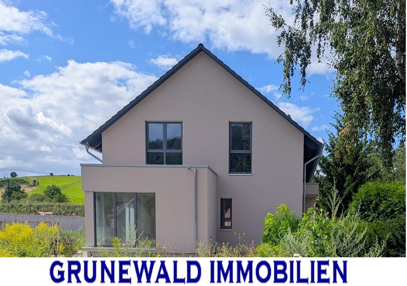 Neuer Preis! Neubau 2024 -DHH mit Wintergarten & PV – Jetzt individuell fertigstellen! – Eisenberg – Bild 1 von 9