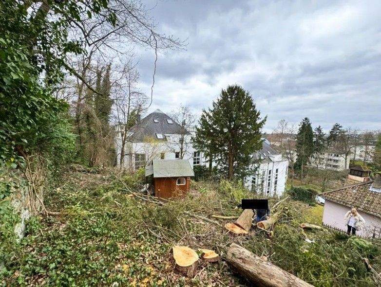Der private Dachgarten mit Rundumblick - Komponistenviertel – Wiesbaden – Vorschaubild 5