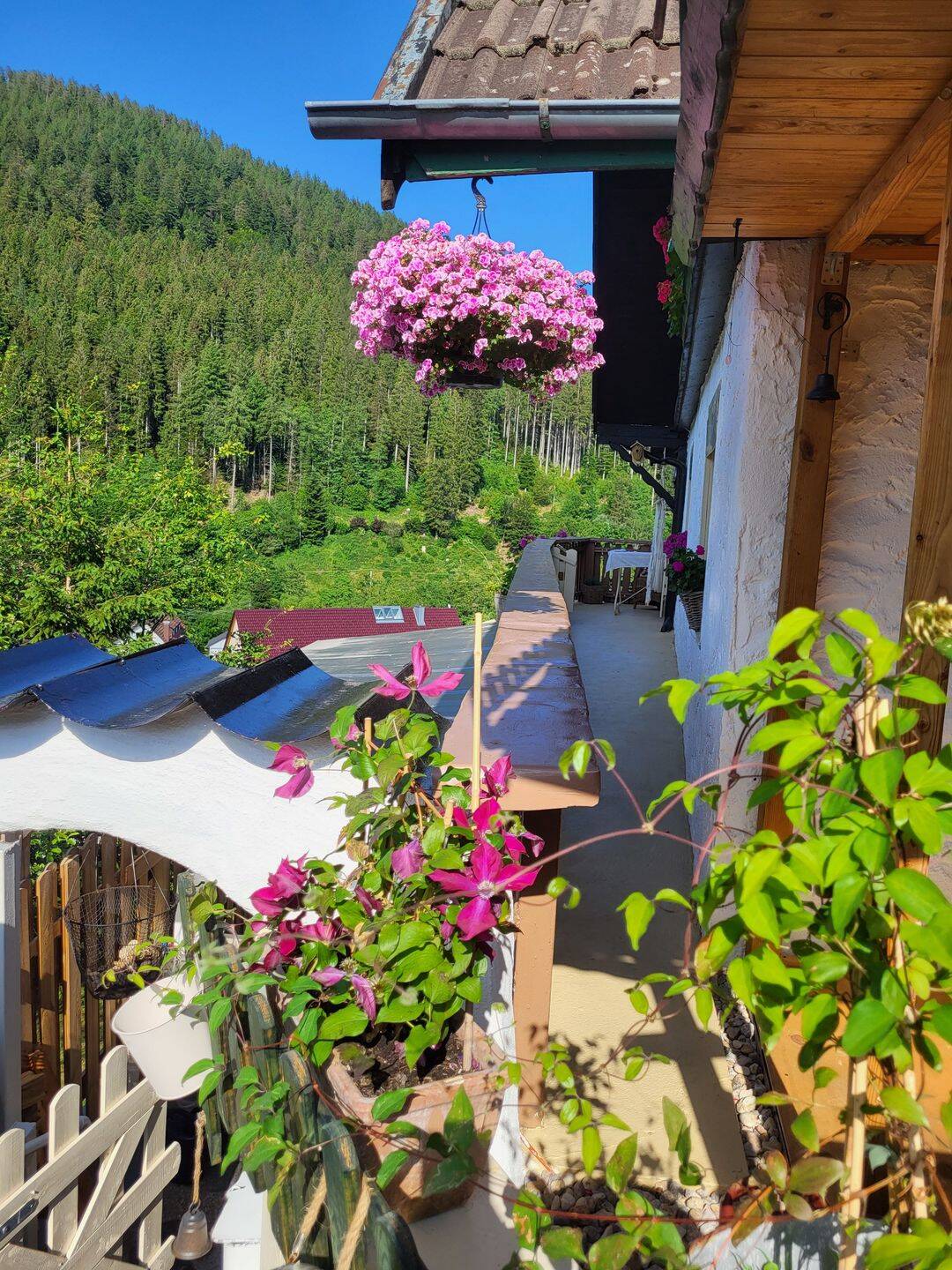 Bezauberndes Schwarzwaldhaus/ Ferienhaus zu verkaufen