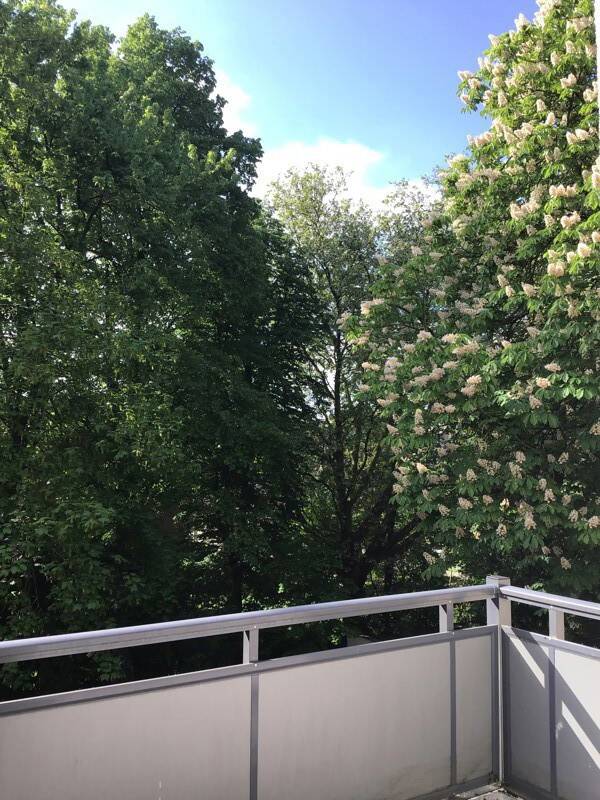 Charmante 2-Raum-Wohnung mit großem Balkon! – Essen – Vorschaubild 5