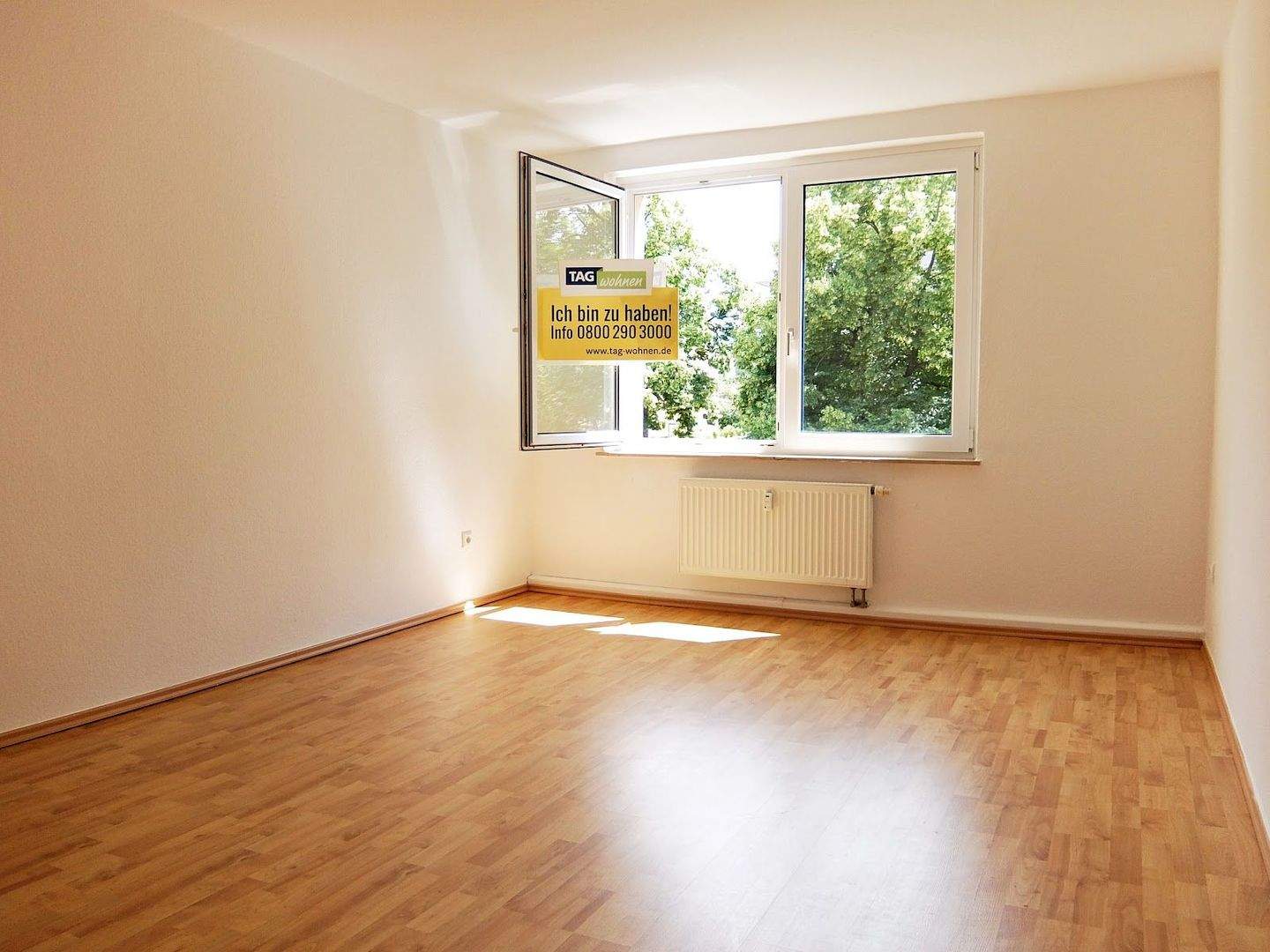Balkonien kann so schön sein ... – Chemnitz – Vorschaubild 7
