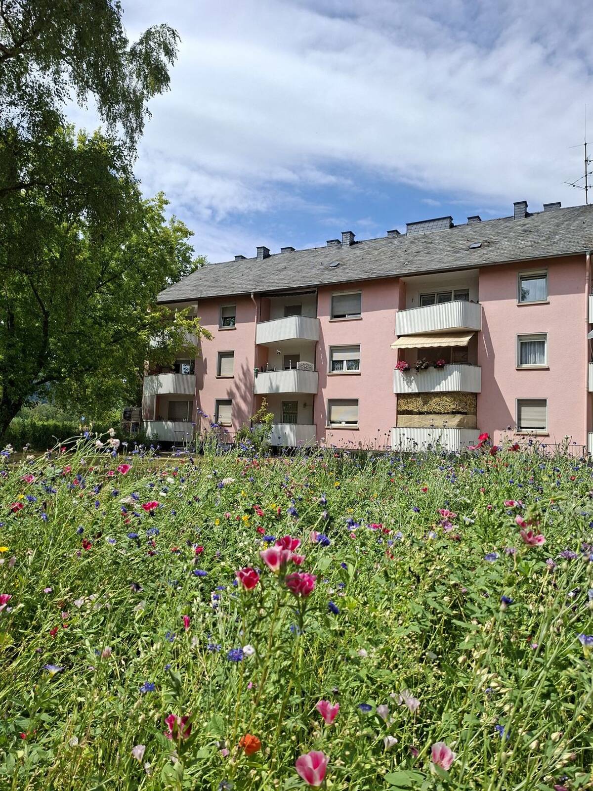 Renovierte 3 ZKB in beliebter Lage - Trier Süd - Auf der Steinrausch – 54290 Trier – Bild 1 von 1