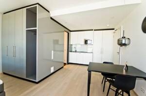 Modern möbliertes 1-Zimmer-Apartment – 70192 Stuttgart – Vorschaubild 4