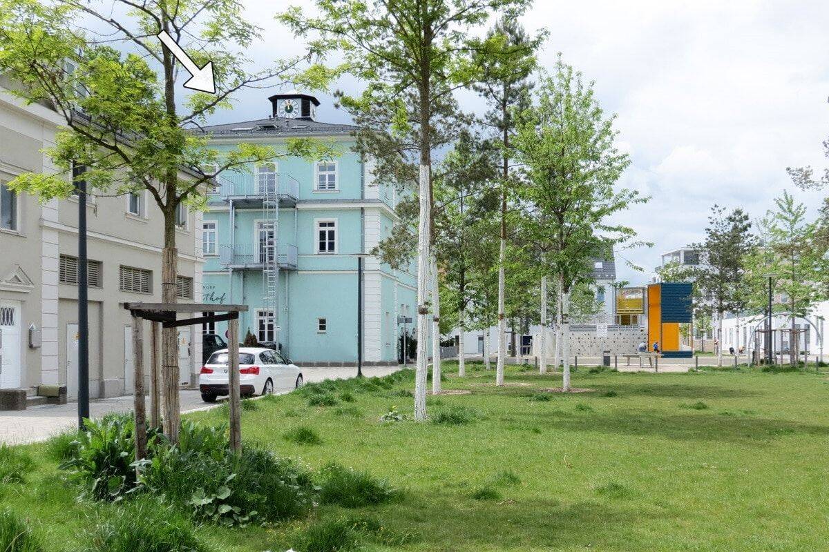 City-Apartment mit langfristigem Pachtvertrag im "Kneitinger"