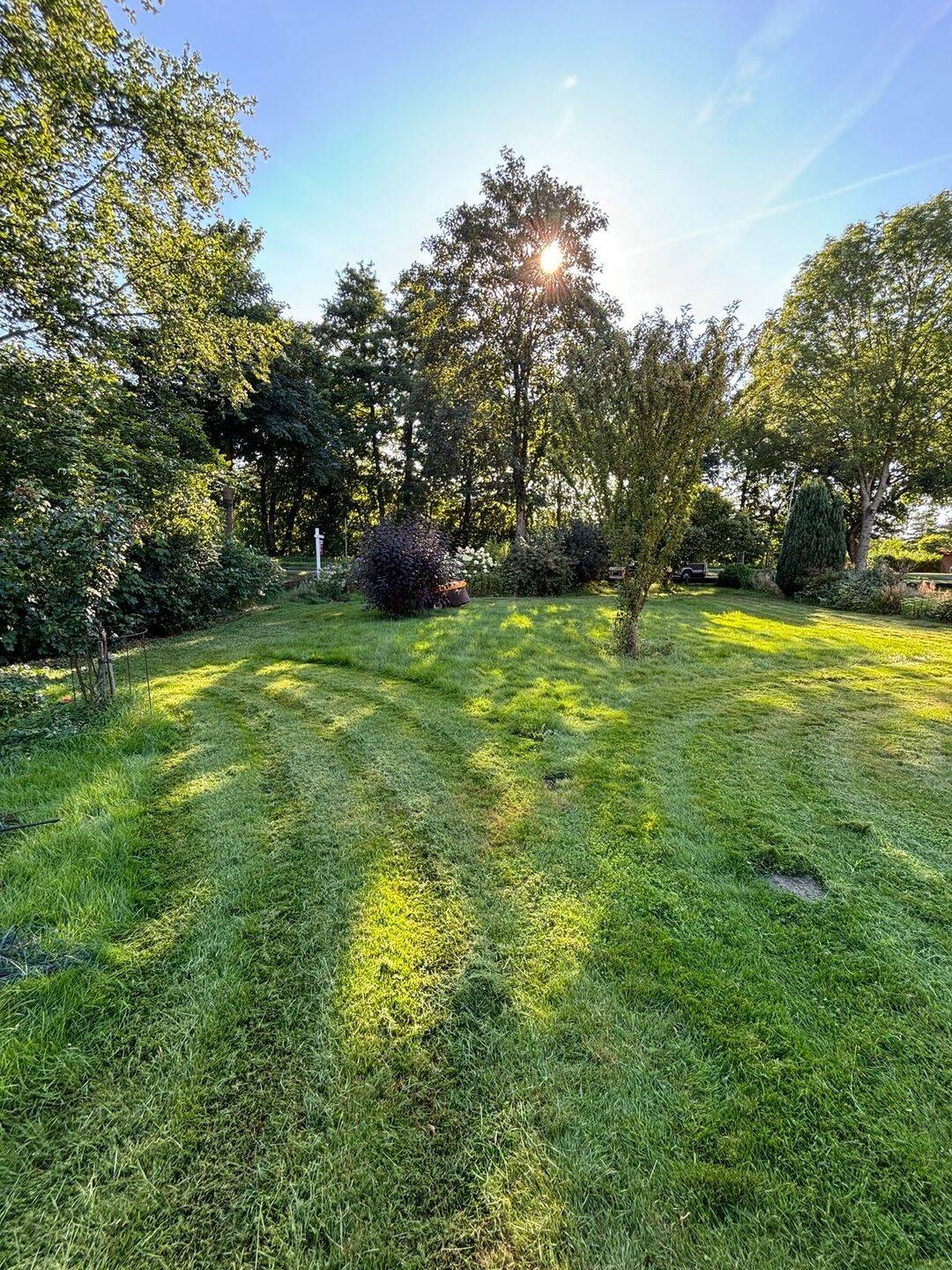 Einfamilienhaus in Himmelpforten zur Miete – Himmelpforten – Vorschaubild 3