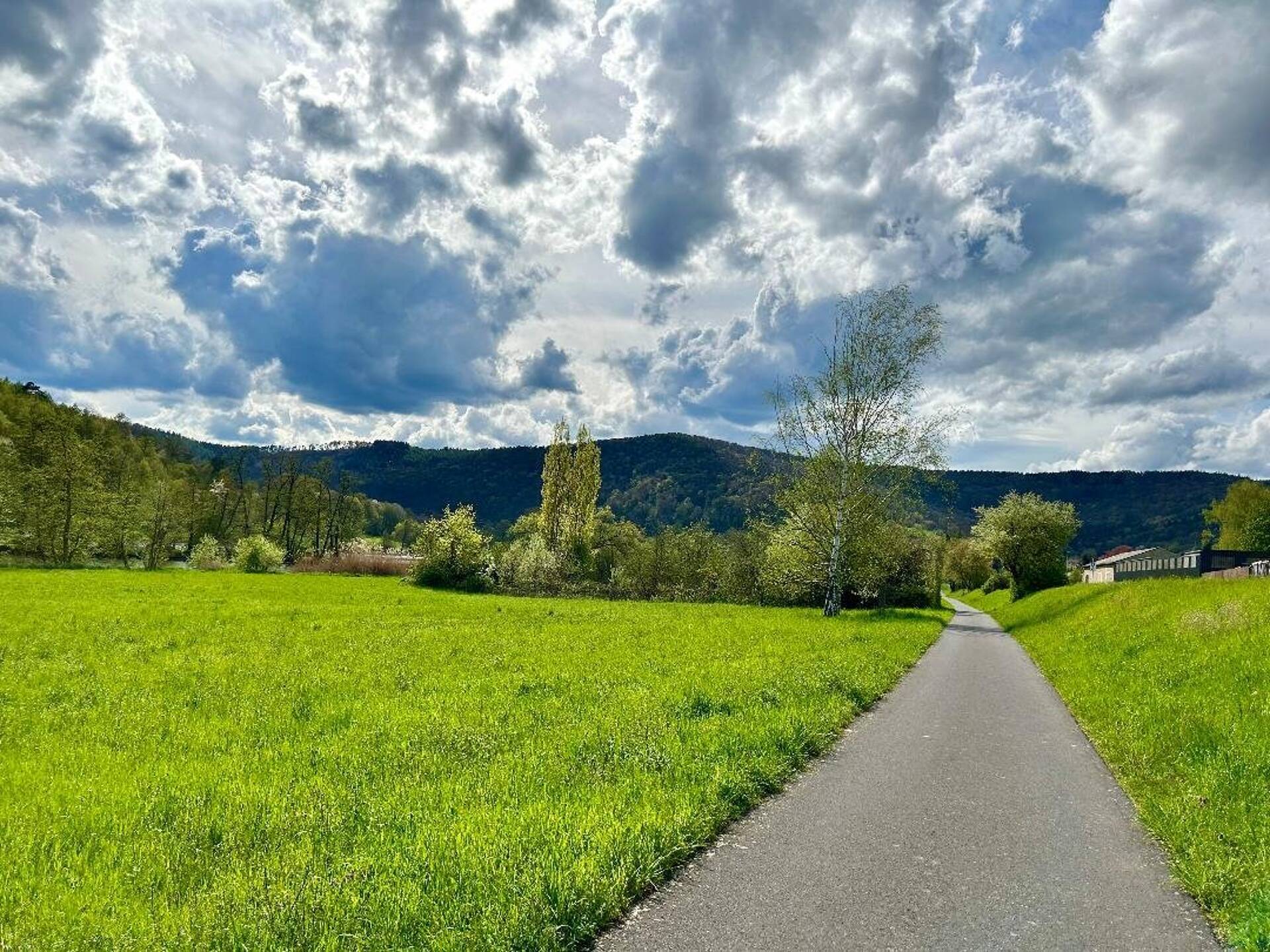 Einfamilienhaus in 63755 Alzenau mit 165 m² kaufen