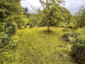 Charmante Doppelhaushälfte mit großer Terrasse, viel Grün und perfekter Familienlage in der Brühlervorstadt – 99094 Erfurt – Vorschaubild 3