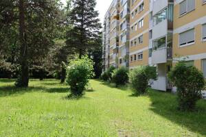 Modernisierte 2-Zimmer Wohnung in Fürstenried (U3) provisionsfrei! Sofort beziehbar – 81475 München – Vorschaubild 2
