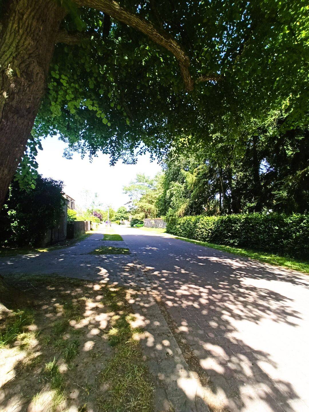 EINFAMILIENHAUS AUF GROSSEM GRUNDSTÜCK IN HOPPENRADE – Löwenberger Land – Vorschaubild 3