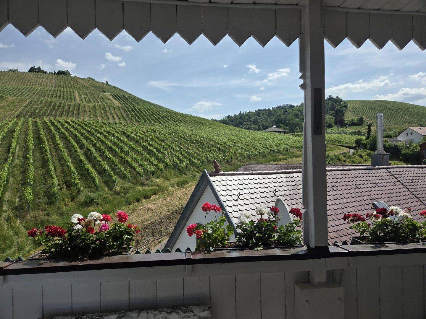 Provisionsfrei! Panoramablick direkt an den Weinbergen Untertürkheims