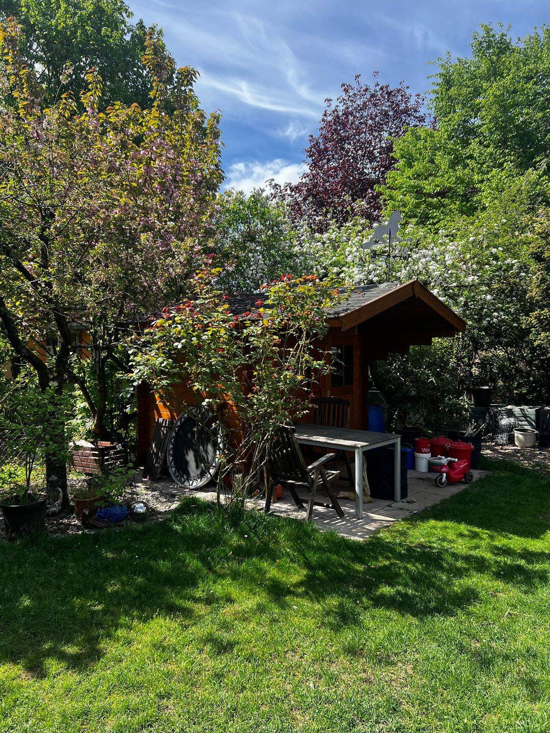 Familienfreundliches Reiheneckhaus in Forchheim – Forchheim – Vorschaubild 9