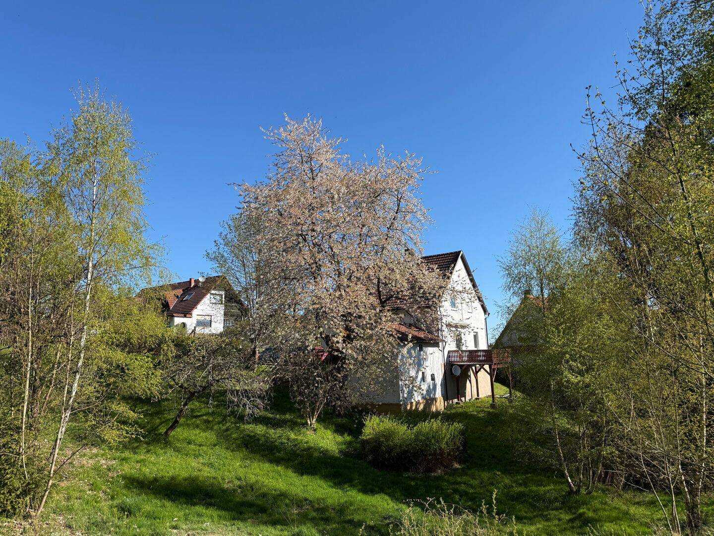 Einmalige Gelegenheit - Einfamilienhaus in Ortsrandlage mit 4.200 qm Grundstück – Tambach-Dietharz – Vorschaubild 7