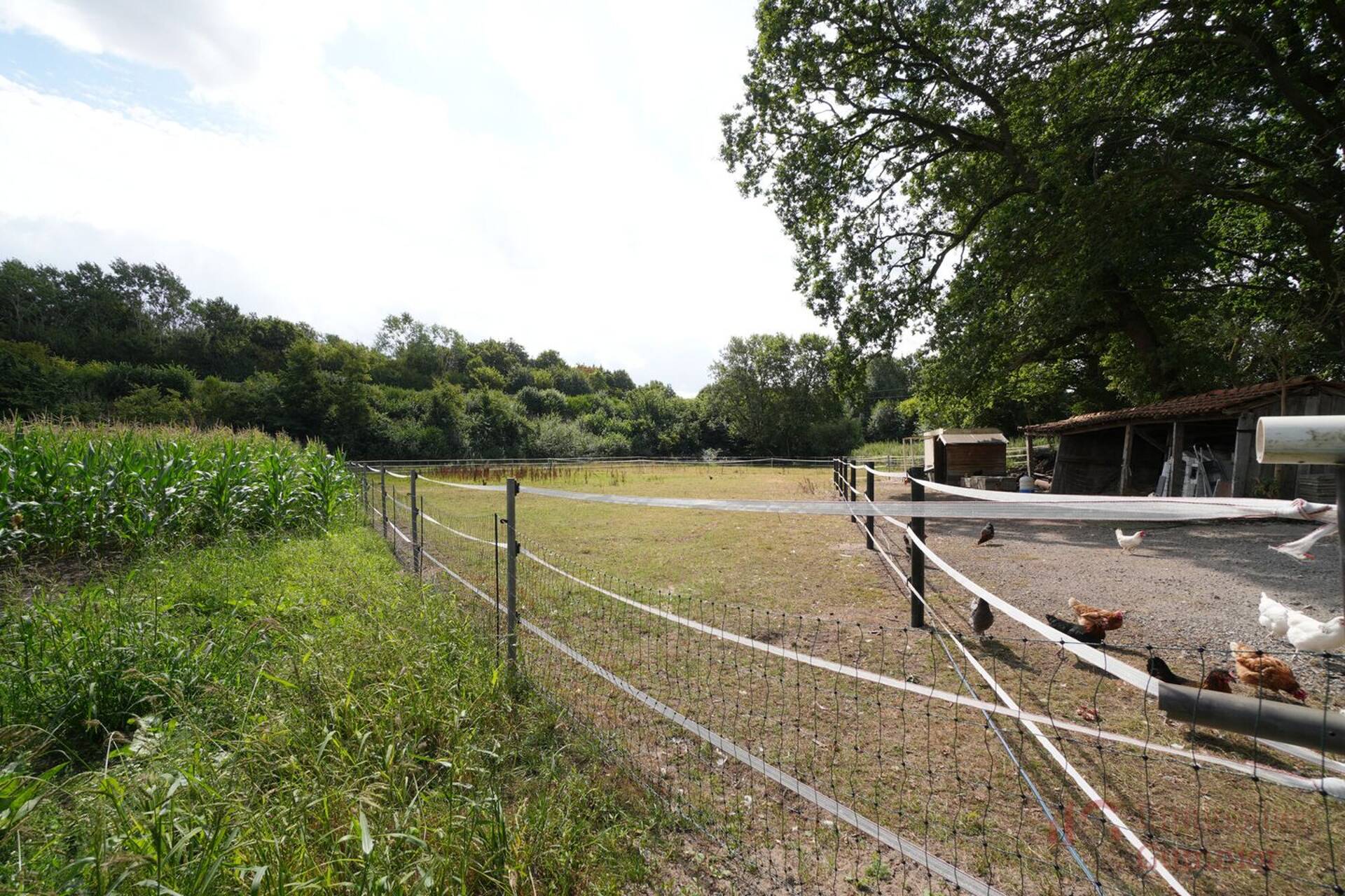 Bauernhaus in 48431 Rheine mit 174,58 m² kaufen