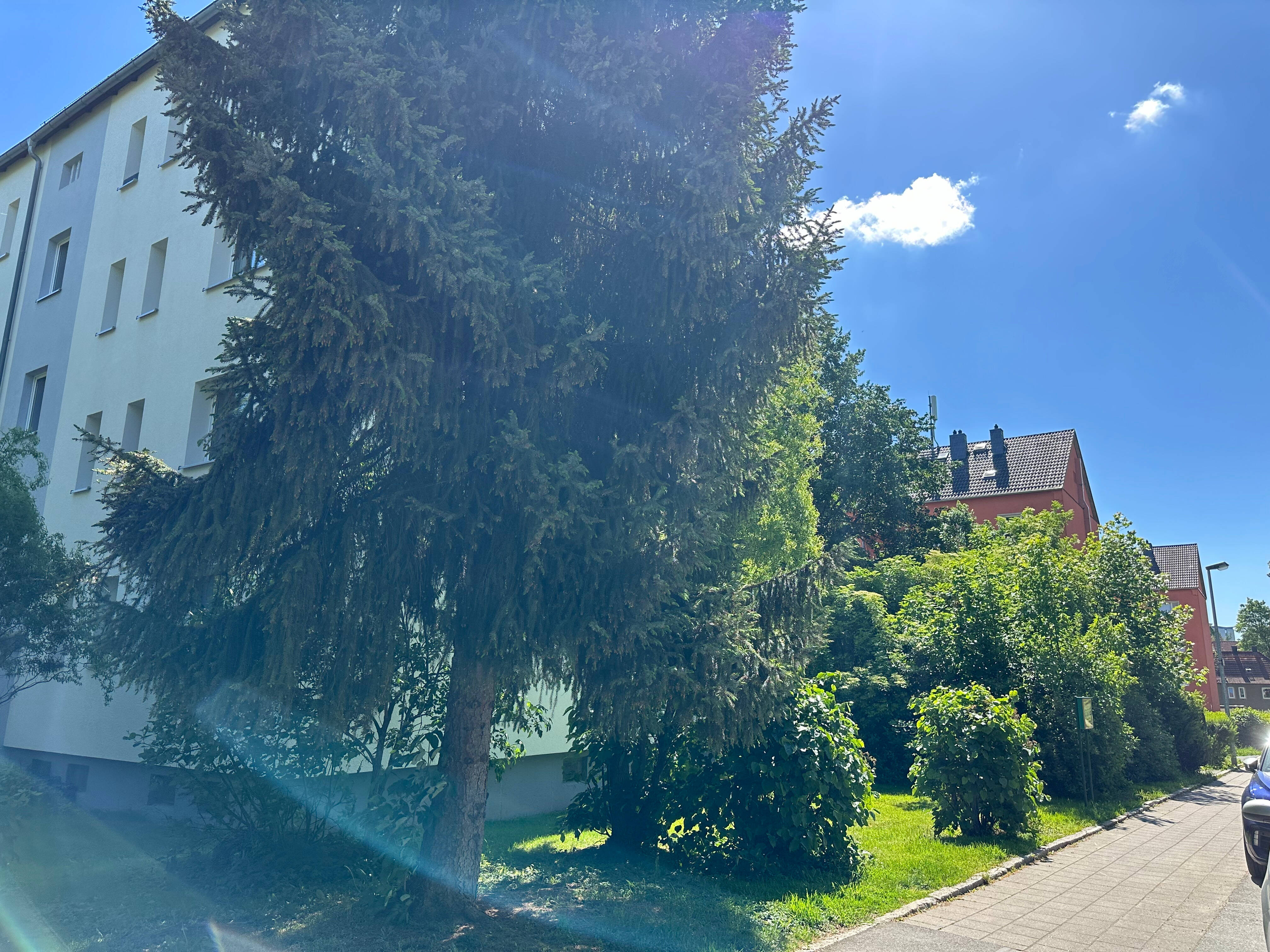 DG = 3. OG / Südbalkon / Bad mit Fenster / ...in Reichenbrand ! – Chemnitz – Vorschaubild 5
