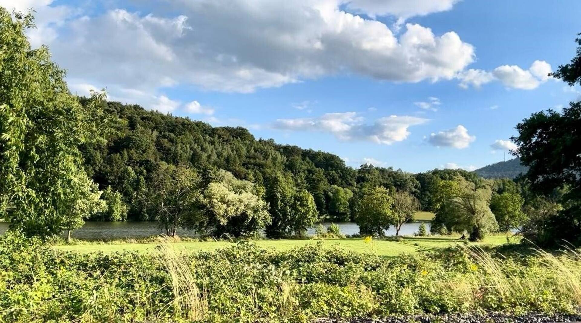 Einfamilienhaus in 63755 Alzenau mit 165 m² kaufen