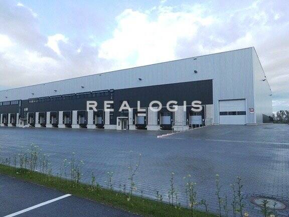 Ca. 10.000 qm Logistik | Rampe + ebenerdig | 12 m UKB!