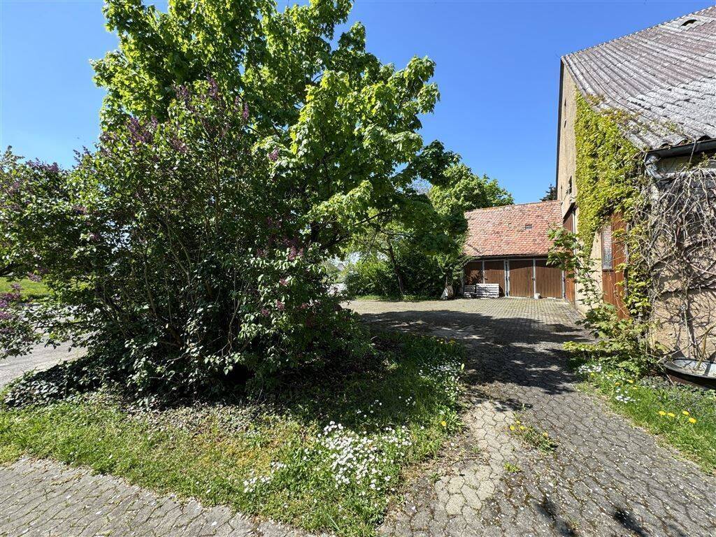Landwirtschaftliche Hofstelle mit wunderschönem Grundstück – Steinsfeld – Vorschaubild 8