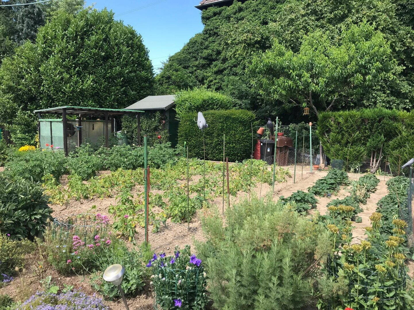 Reihenendhaus mit großen Gartengrundstück und Vollkeller – Mönchengladbach – Vorschaubild 6
