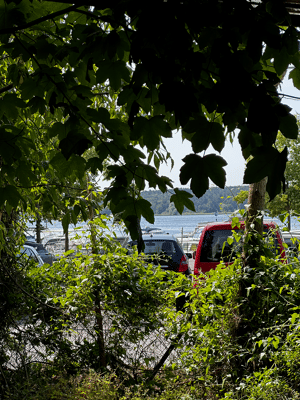 1. Reihe am Wannsee mit Seeblick – 14089 Berlin – Vorschaubild 3