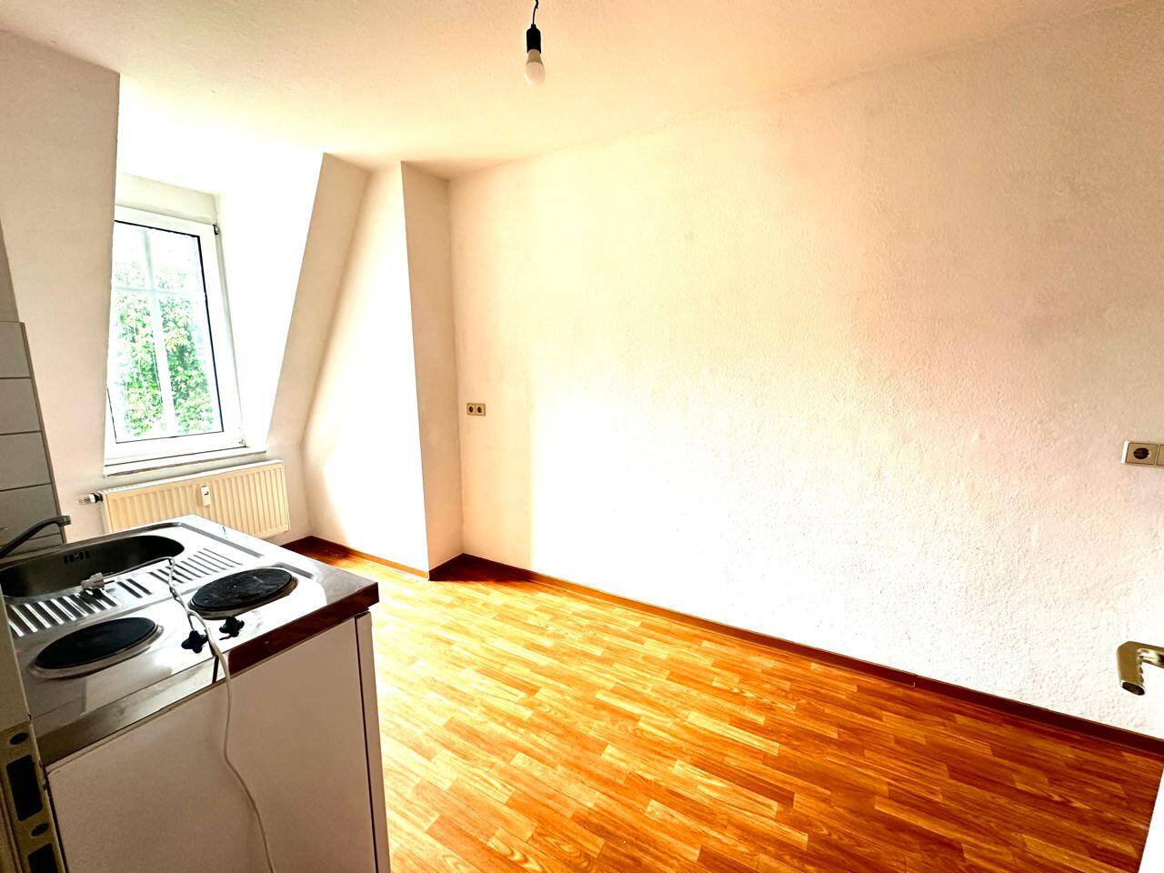 frisch renovierte, helle 1 Raum Wohnung zum Wohlfühlen – Chemnitz – Vorschaubild 6