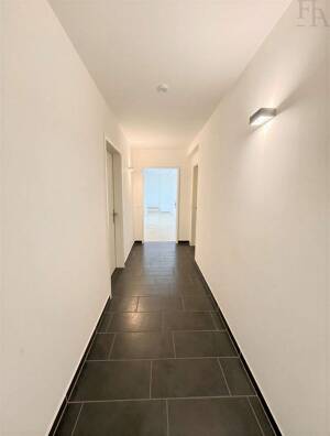 Direkt an der Universität - saniertes 1-Zimmer-Apartment in Köln-Lindenthal – 50937 Köln – Vorschaubild 8