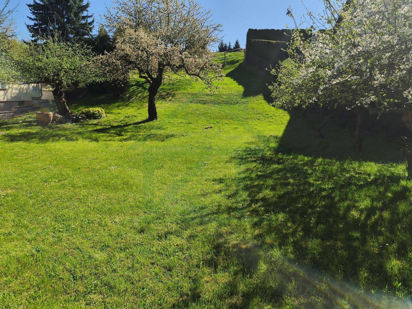 Einfamilienhaus Neubau inklusive Baugrundstück mit ca. 800 m² Fläche in Eisenberg – Eisenberg – Vorschaubild 4