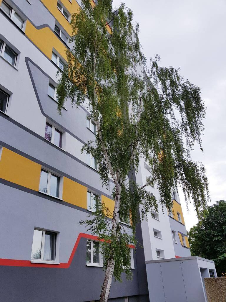 Wohnung in Magdeburg – Magdeburg – Vorschaubild 4