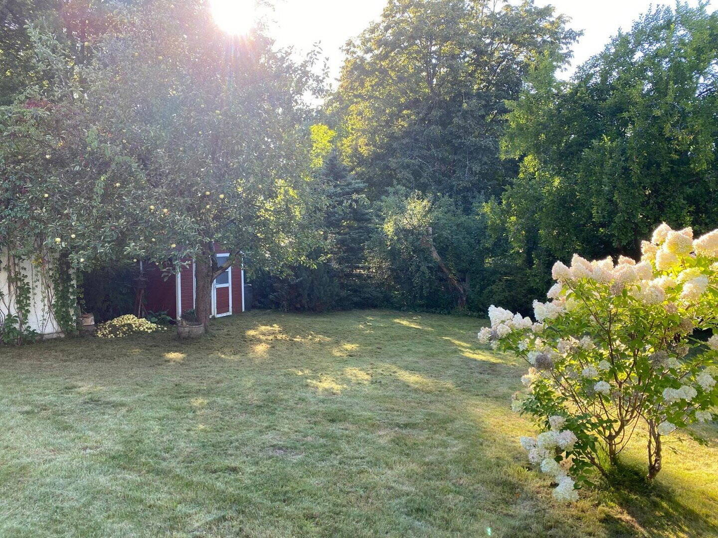 Provisionsfrei! Einfamilienhaus mit Einliegerwohnung – Chemnitz – Vorschaubild 7