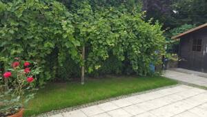 Vermietung - Reihenendhaus mit Einfamilienhaus-Charakter und Luxus-Ausstattung – 51379 Leverkusen – Vorschaubild 2