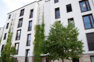Exclusive Gelegenheit! 4-Zimmer Penthouse- Wohnung mit perfekter Verkehrsanbindung und Natur KFW 55 – 63073 Offenbach am Main – Vorschaubild 8