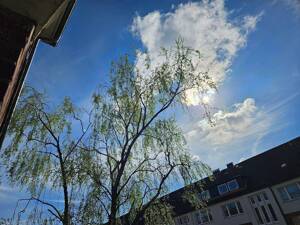 renovierte 2 Zimmer - Wohnung in Eilbek Vermietung oder Eigenutzung gut mgl. – 22089 Hamburg – Vorschaubild 2