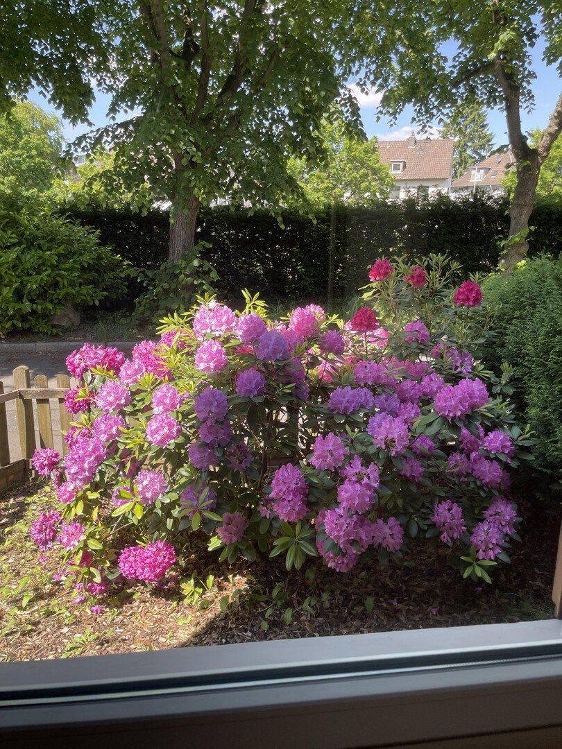 Charmantes Einfamilien-Endreihenhaus mit Garten in stadtnaher und ruhiger Lage – Hilden – Vorschaubild 2
